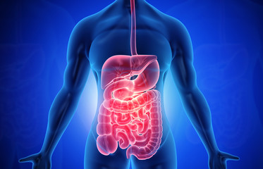 Digestive Health and Why it is More Important Than You May Think